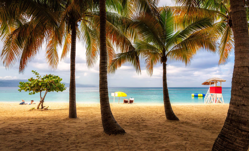 Een palmstrand op Jamaica
