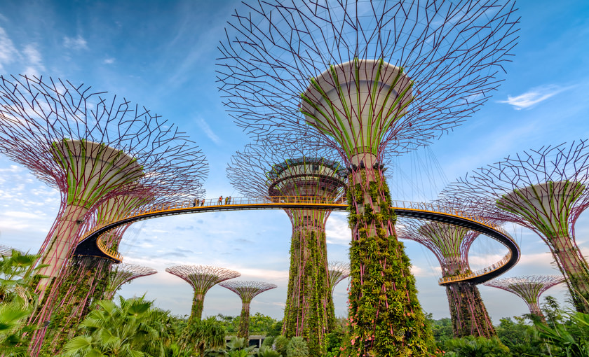 The gardens by the bay in Singapore